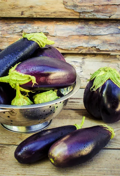 Verduras. Berenjena azul madura . — Foto de Stock