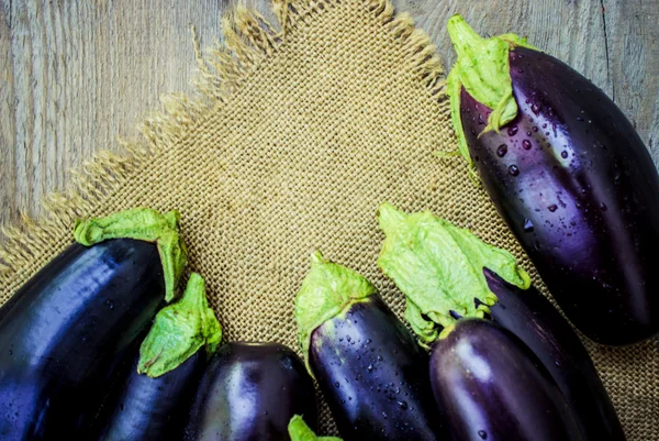 Verduras. Berenjena azul madura . — Foto de Stock