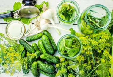 Dekapaj salatalık. Taze sebze ve otlar korunmasına ilişkin.