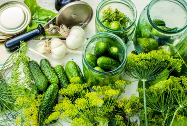 Dekapaj salatalık. Taze sebze ve otlar korunmasına ilişkin.