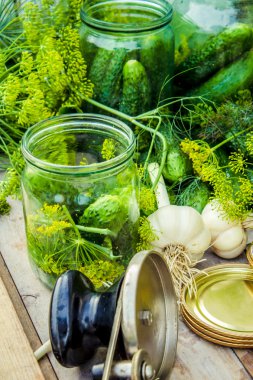Dekapaj salatalık. Taze sebze ve otlar korunmasına ilişkin.