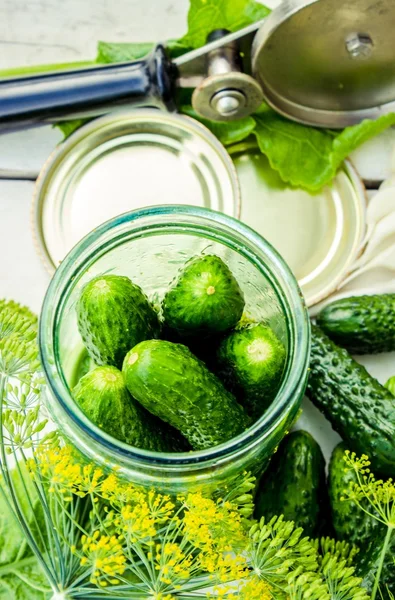 Los pepinos encurtidos. Verduras frescas y hierbas para la conservación . — Foto de Stock