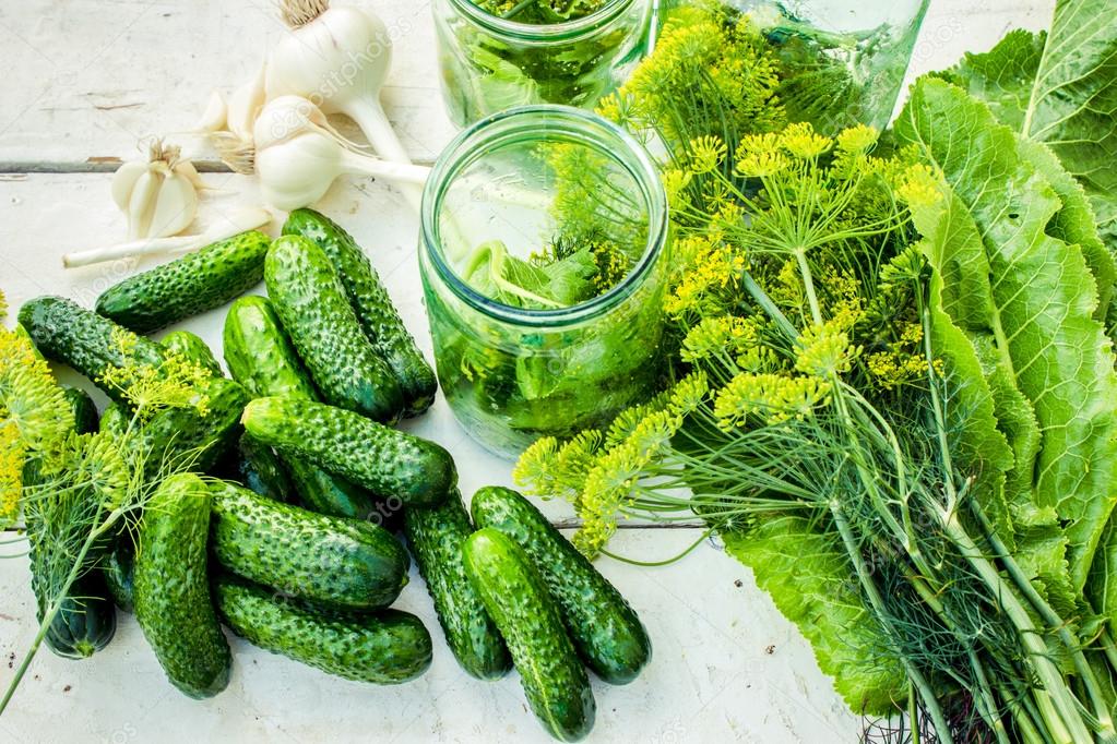 Купить Огурцы Для Засолки В Москве
