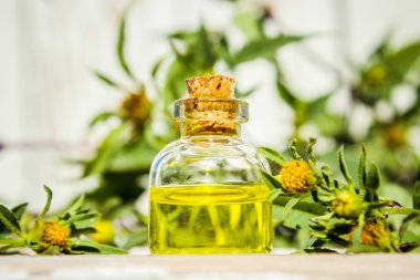 Bur-marigold. oil in a small bottle. extract, tincture, decoction, suspension, drops, herbs. clipart