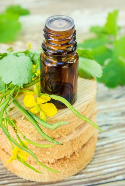 tedavi için celandine (kaynatma, tentür, ekstresi, yağ).