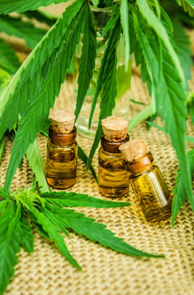 Cannabis for treatment (decoction, tincture, extract oil). — Stock Photo, Image