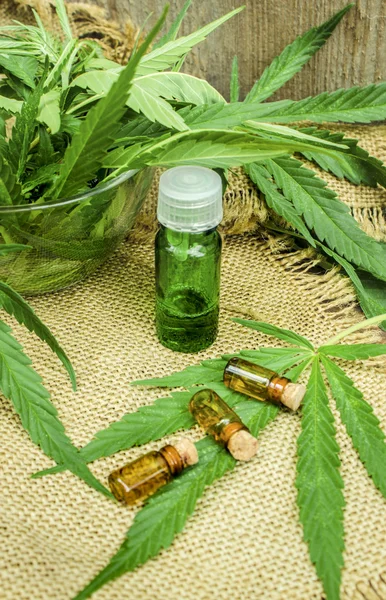 Cannabis para tratamento (decocção, tintura, óleo de extrato ). — Fotografia de Stock