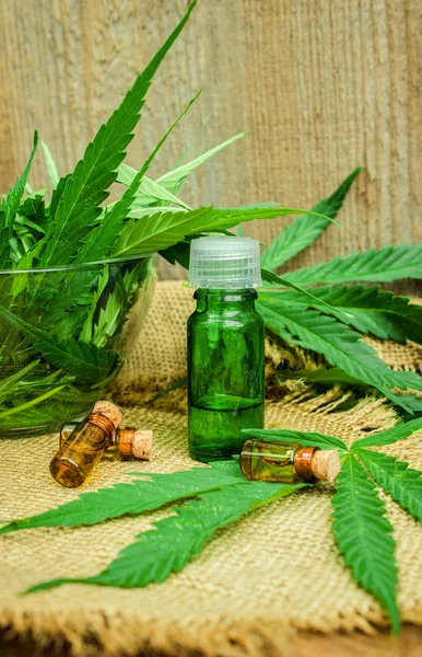 Cannabis para tratamento (decocção, tintura, óleo de extrato ). — Fotografia de Stock