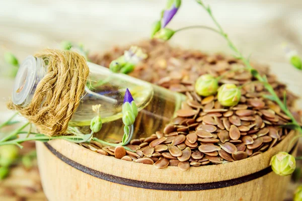 Aceite de semillas de lino para el tratamiento (decocción, tintura, extracto ). — Foto de Stock