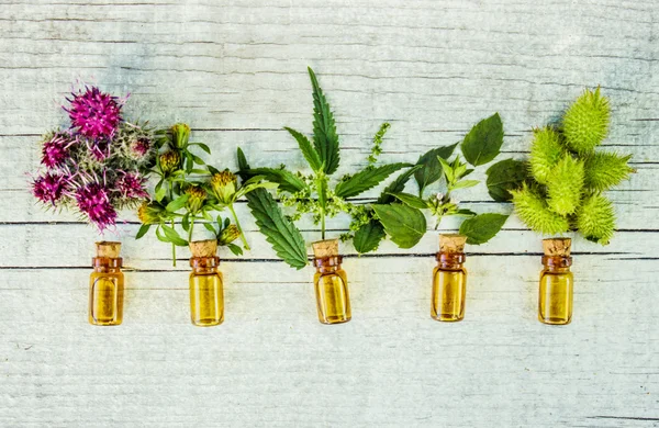 Mint, brandnetel, serie, burdocks, cocklebur in een kleine fles (afkooksel, tinctuur, extract, olie). — Stockfoto