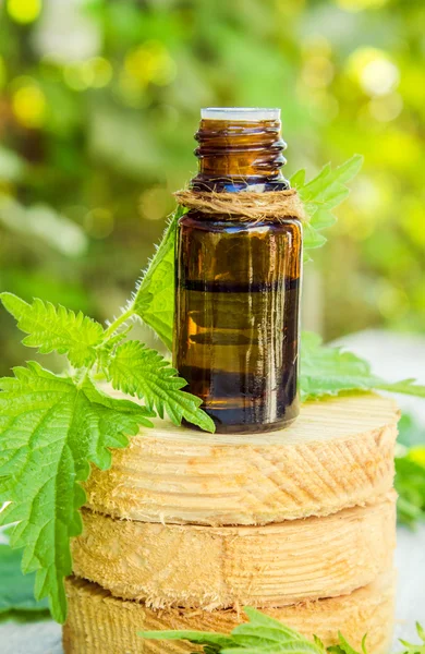 Nettles in a small bottle (decoction, tincture, extract, oil). — Stock Photo, Image