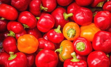 Bulgar biber kırmızı ve sarı.