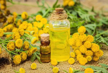 solucan otu şifalı özü, tentür, kaynatma, petrol, küçük bir şişe içinde.