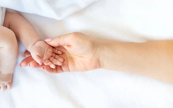 Manos Bebé Con Las Manos Mamá Sobre Fondo Blanco Enfoque — Foto de Stock