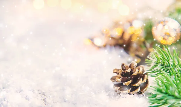 圣诞装饰 松果在雪中 有选择的重点 — 图库照片