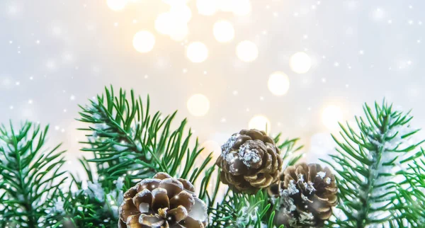 Kerstdecor Dennenappels Sneeuw Selectieve Focus Vakantie — Stockfoto