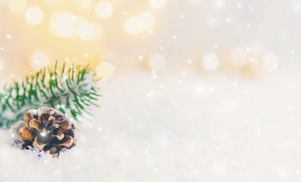 Karácsonyi Dekoráció Fenyőtoboz Hóban Szelektív Fókusz Nyaralás — Stock Fotó