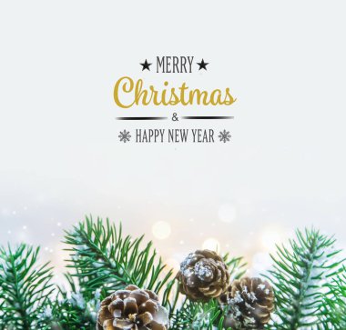 Noel dekoru, karda çam kozalakları. Seçici odaklanma. Tatil.