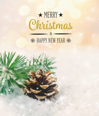 Noel dekoru, karda çam kozalakları. Seçici odaklanma. Tatil.