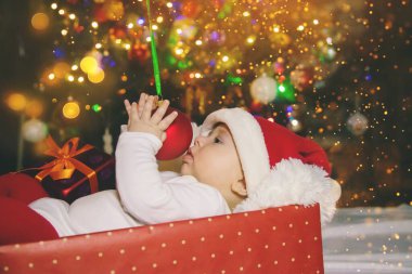 Bebek ağacın altında, Christmas. Seçici odaklanma. Tatil.