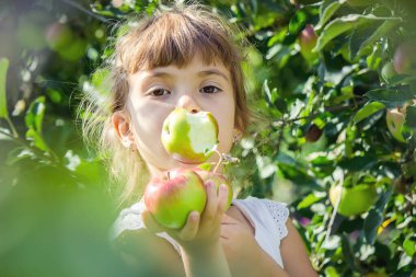 Yaz bahçesinde elmalı bir çocuk. Seçici odaklanma. İnsanlar.
