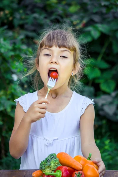 Dítě Létě Zeleninu Selektivní Soustředění Lidé — Stock fotografie