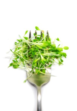 Beyaz arka planda mikroyeşil salata izole edildi. Seçici odaklanma. Doğa.