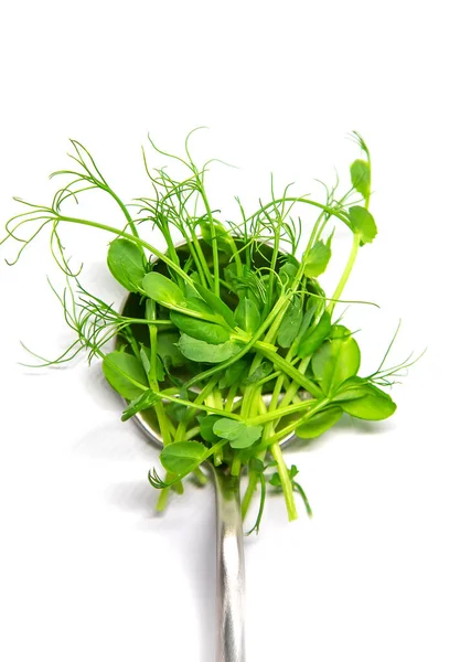 Beyaz arka planda mikro yeşil bezelyeler. Seçici odaklanma. Doğa.