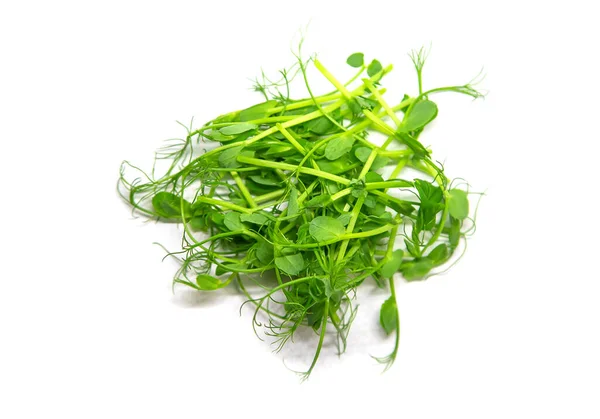 Microgreen Peas White Background Selective Focus Nature — Stock Photo, Image