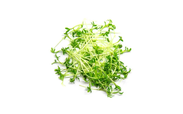 Watercress Microgreen Λευκό Φόντο Απομονώσει Επιλεκτική Εστίαση Φύση — Φωτογραφία Αρχείου
