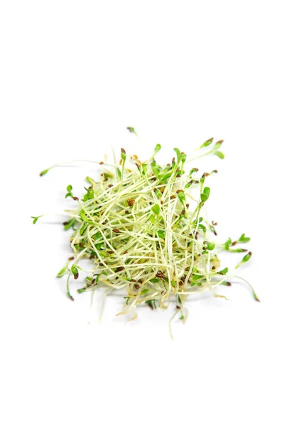 Alfalfa Microgreen White Background Isolate Selective Focus Nature — Stock Photo, Image