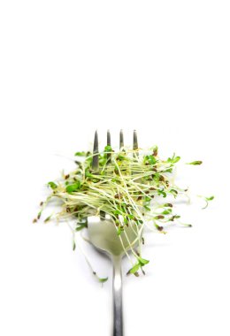 Beyaz arka plandaki alfalfa mikroyeşili izole edildi. Seçici odaklanma. Doğa.