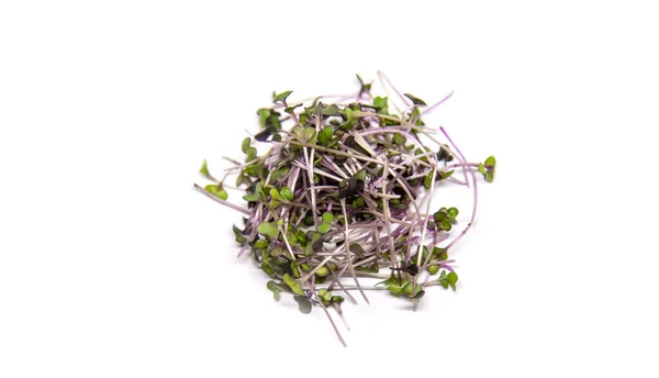 Red Cabbage Microgreen White Background Isolate Selective Focus Nature — Stock Photo, Image