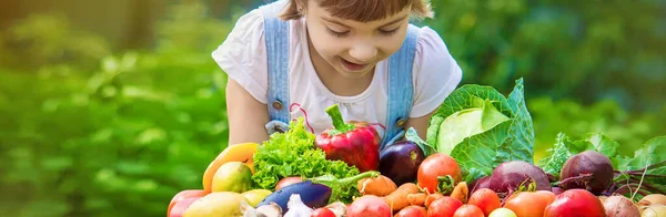 Niños Verduras Granja Enfoque Selectivo Naturaleza — Foto de Stock