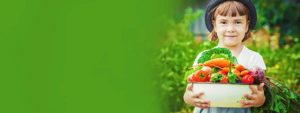 Child Vegetables Farm Selective Focus Nature — Stock Photo, Image