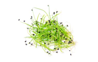 Beyaz arka planda mikro yeşil soğan izole edilmiş. Seçici odaklanma. Yiyecek..