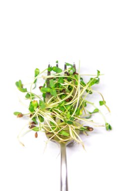 Beyaz arka planda mikroyeşil keten. Seçici odaklanma. Yiyecek..