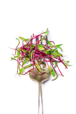 Beyaz arka plandaki mikroyeşil pancarlar izole edilmiş. Seçici odaklanma. Yiyecek..