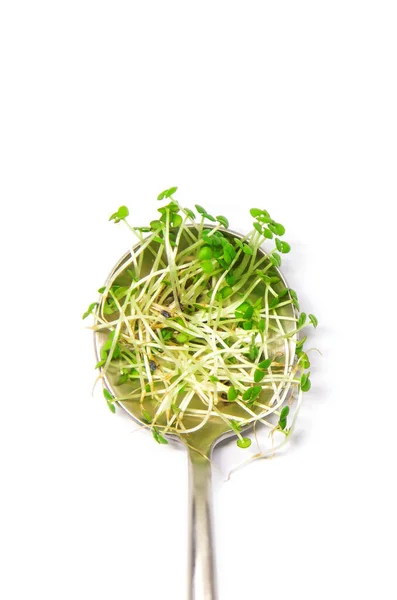 Микрозелень Белом Фоне Изолировать Выборочный Фокус Еда — стоковое фото