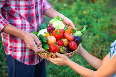 Bir adam çiftçi ve bir çocuk ellerinde sebze hasadı tutuyorlar. Seçici odaklanma. Doğa.