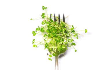 Mikroçerez fesleğeni beyaz arka planda izole edilir. Seçici odaklanma. Yiyecek..