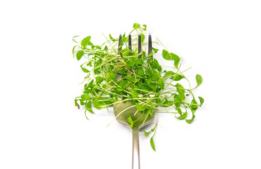 Mikro yeşil maydanozlar beyaz arka planda izole edilir. Seçici odaklanma. Yiyecek..