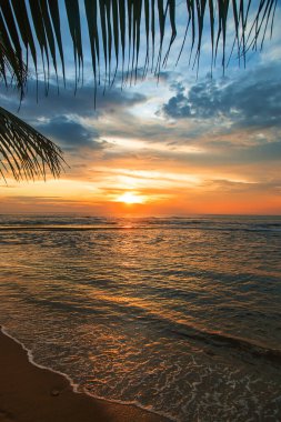 Okyanusta gün batımı. Sri Lanka. Seçici odaklanma. Doğa.