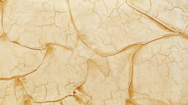 Duvarda dekoratif macun örneği var. Ev tamiri. Seçici odaklanma. Renk.