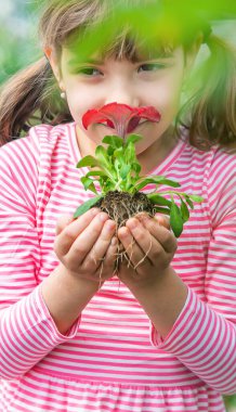 Bir çocuk çiçek bahçesi ekiyor. Seçici odaklanma. Doğa.