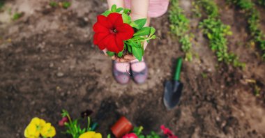 Bir çocuk çiçek bahçesi ekiyor. Seçici odaklanma. Doğa.