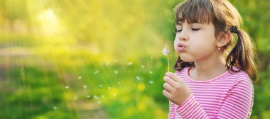 Parkta karahindiba taşıyan kız çocuğu. Seçici odak.