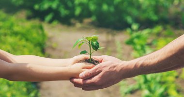 Babasıyla birlikte bir çocuk çocuk yetiştirme bahçesi dikiyor. Seçici odaklanma. insanlar.
