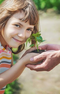 Babasıyla birlikte bir çocuk çocuk yetiştirme bahçesi dikiyor. Seçici odaklanma. insanlar.