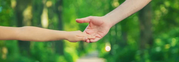 Padre Figlio Vanno Tenersi Mano Concentrazione Selettiva Natura — Foto Stock